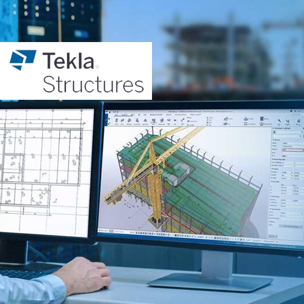 Editor Template in Tekla Structures