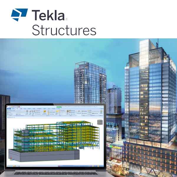 Strumento Organizzazione in Tekla Structures